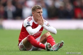 包含赛地聚焦——法国杯冲刺阶段热度飙升，阿森纳官宣签约，更衣室稳定，阵容厚度经受考验的词条
